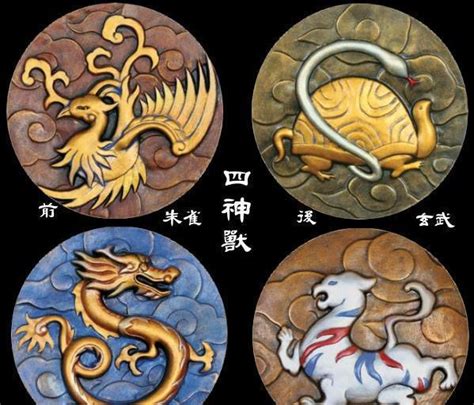 朱雀 南|四象: 青龙,白虎,朱雀,玄武